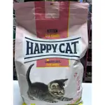 Happy Cat Kitten 4 k